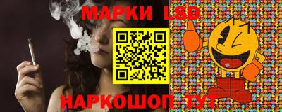 a pvp Камышлов