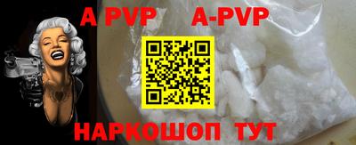 a pvp Камышлов