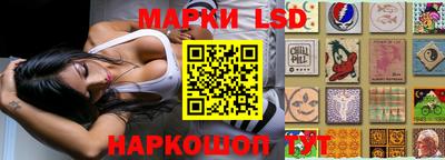 a pvp Камышлов